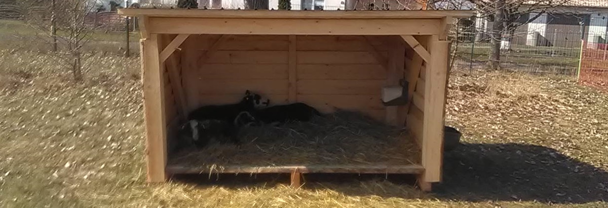A rustic little shelter for some&nbsp;sheep