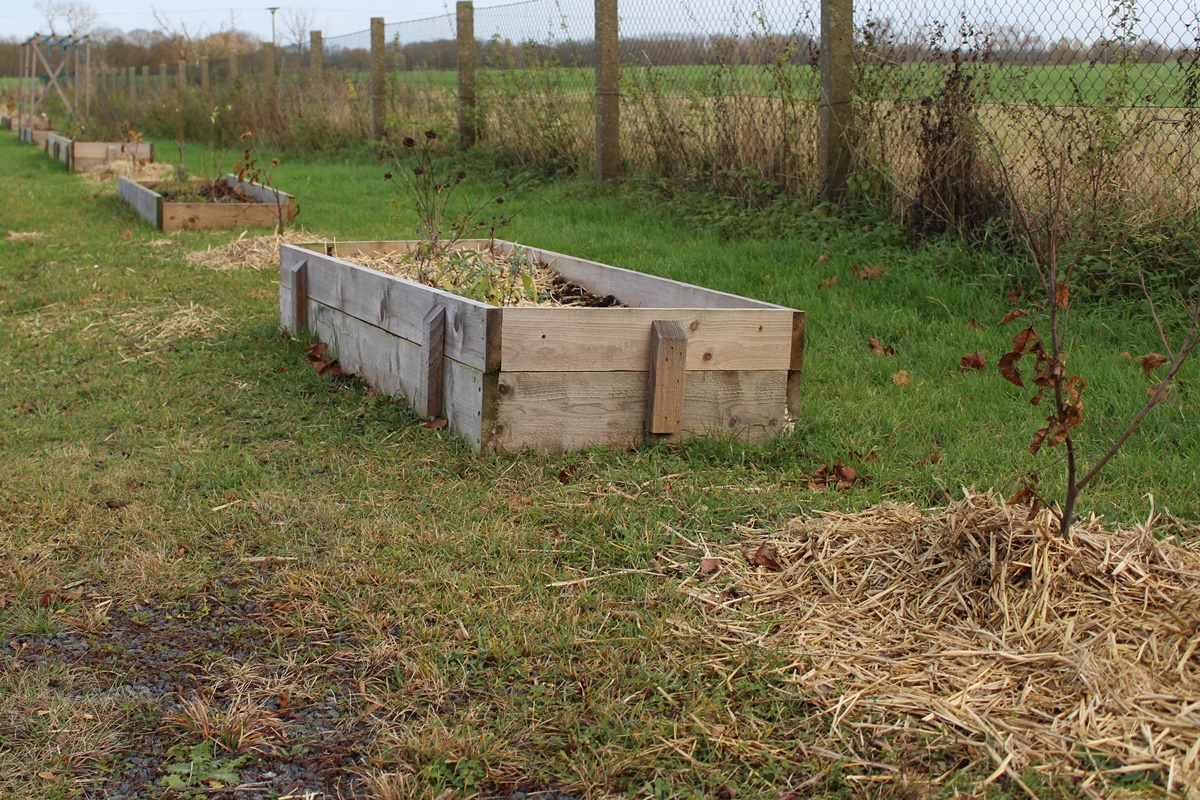 Part 5 in starting for our food&nbsp;forest