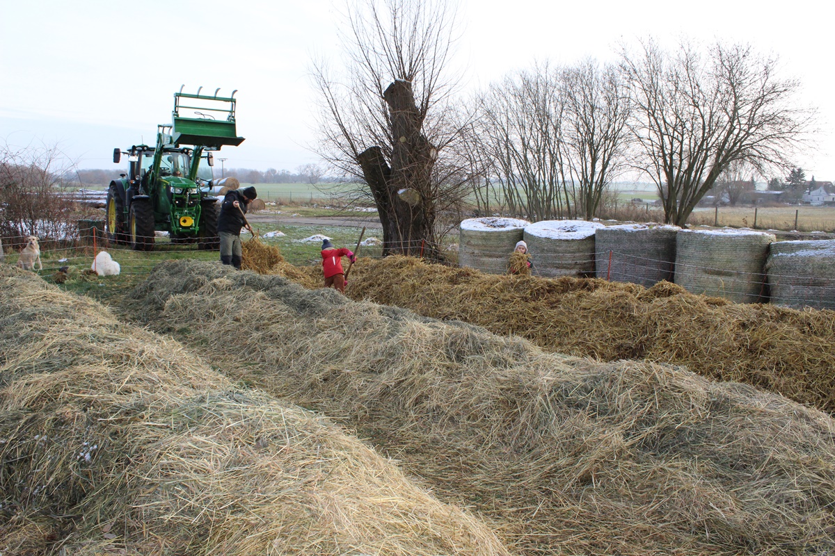 Up-Date on our late potato&nbsp;harvest