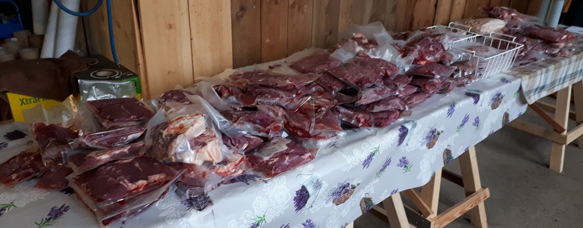 We bought a cow for&nbsp;meat