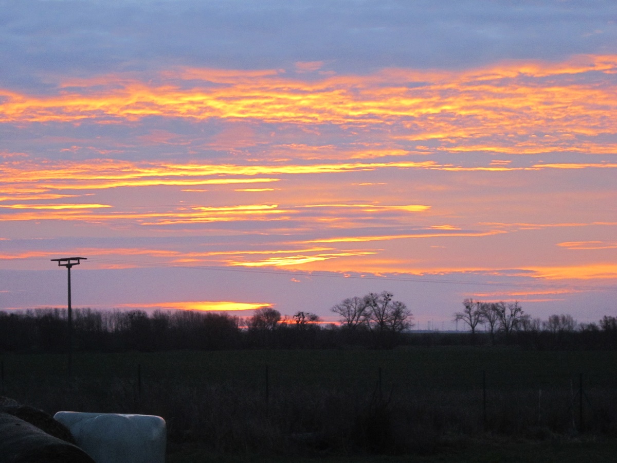 Happy New Year with a beautiful&nbsp;sunrise