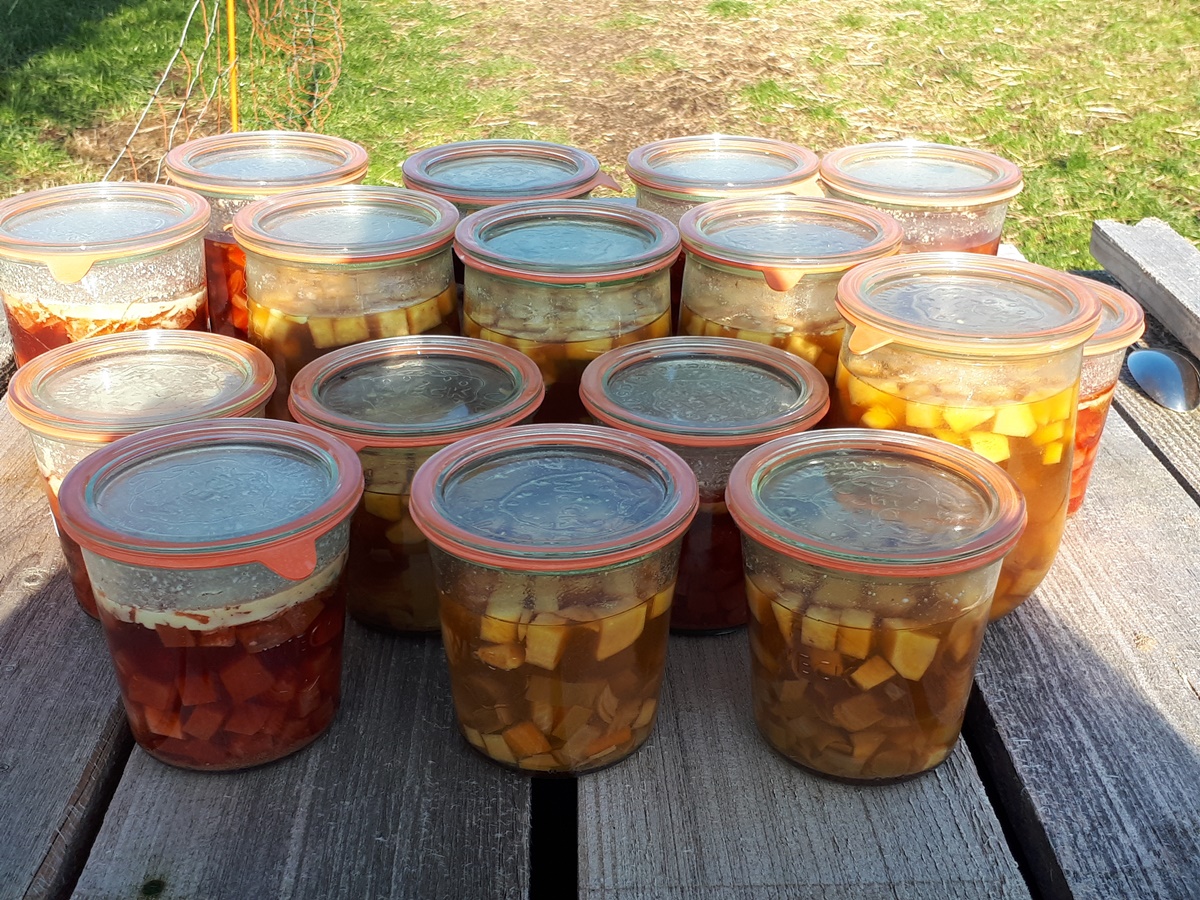 Pressure canned vegetable&nbsp;soup