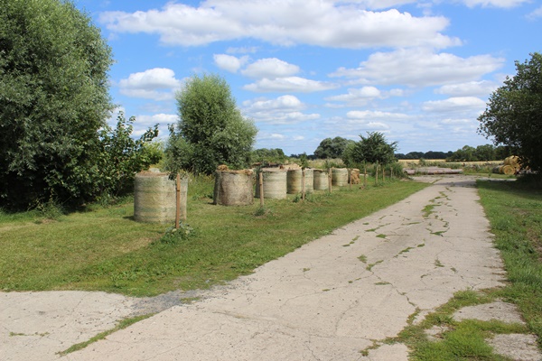 A row of straw round bales next to a row of fruit trees