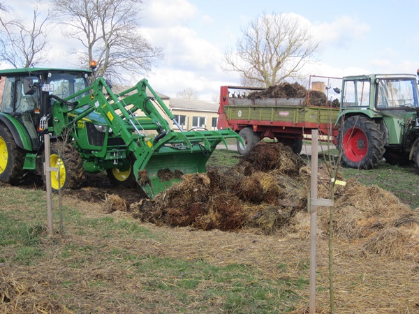 Clearing a compost bed with a tractor with a front end loader with a grapple, with a tractor with a loaded manure spreader in the back