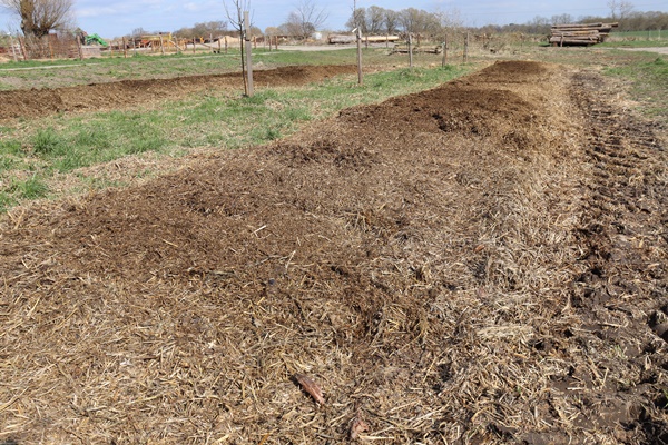 Compost beds after flail mowing them