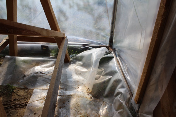 Greenhouse foil folded to the inside of the greenhouse