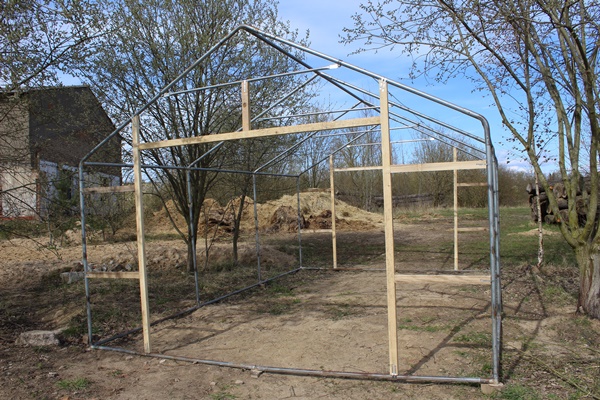 Metal tent frame with wooden doorframes for a DIY greenhouse