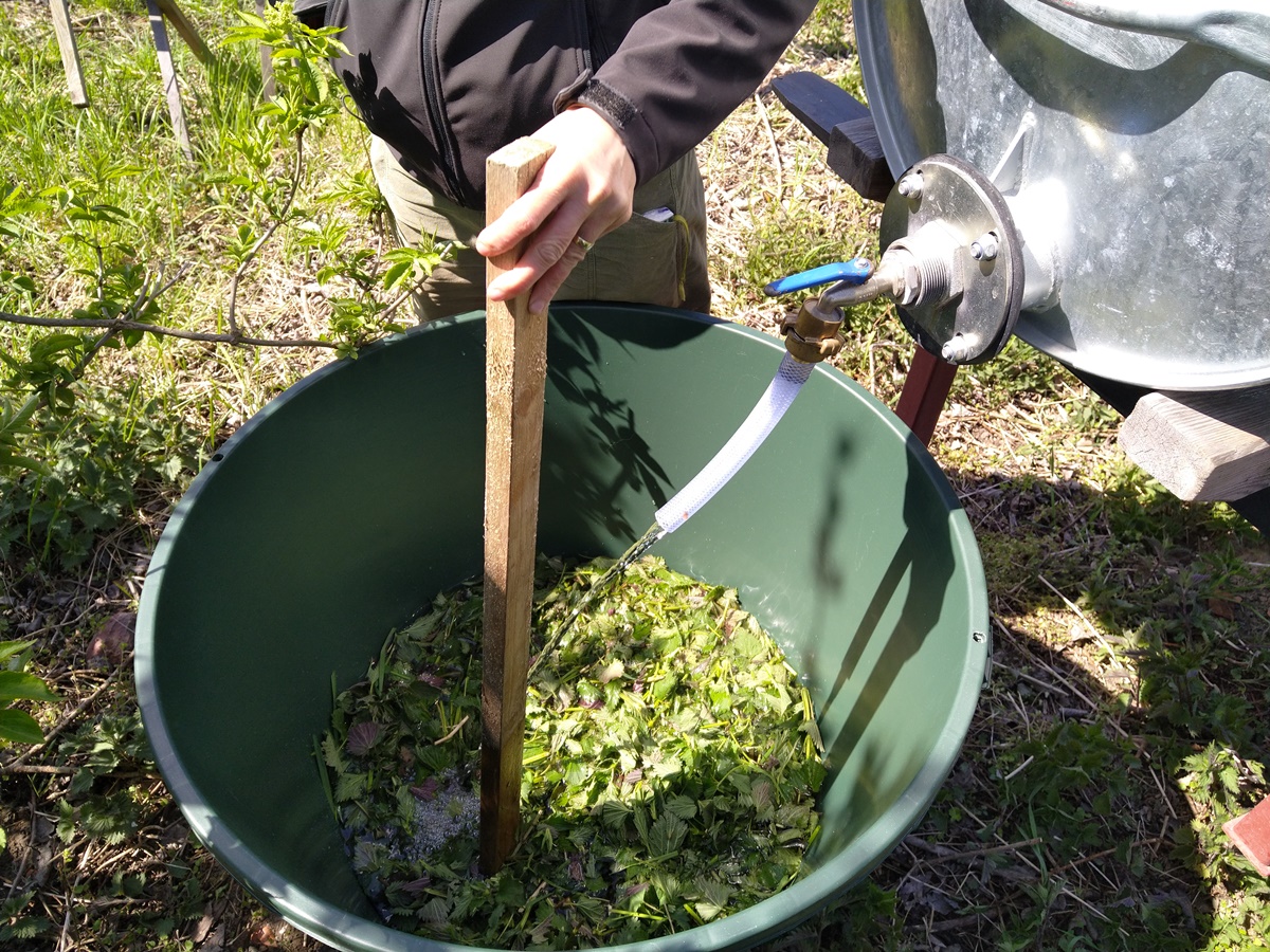 Topping of a rain barrel, with cut up stinging nettles, with water and a women stirring with a wooden stick