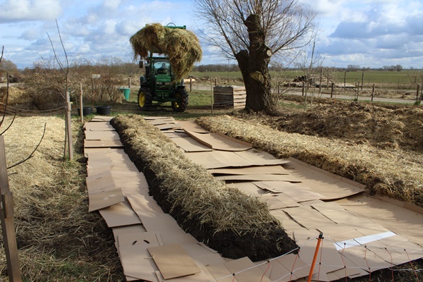 Cardboard laid out around a no-dig bed for sheet mulching and a tractor bringing hay to cover the cardboard