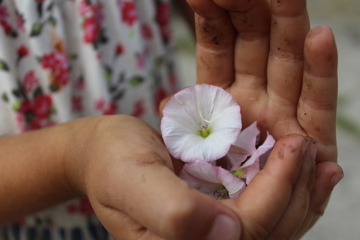 Flowers in a child’s muddy hands