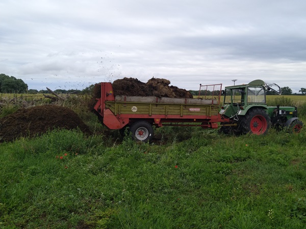 Second batch of cow manure being turned of the manure spreader in a big pile on an unused pasture