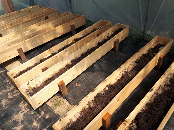 Wooden planters with a layer of horse manure on a good layer of sheep wool