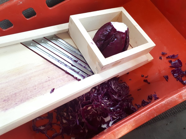 Slicing red cabbage with a sauerkraut slicer in a red create