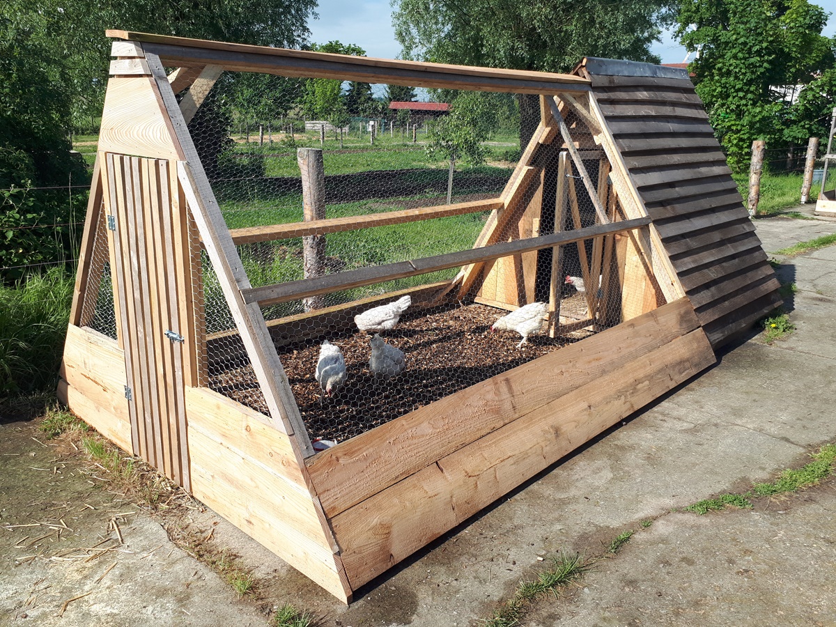 A new chicken coop on the&nbsp;quick