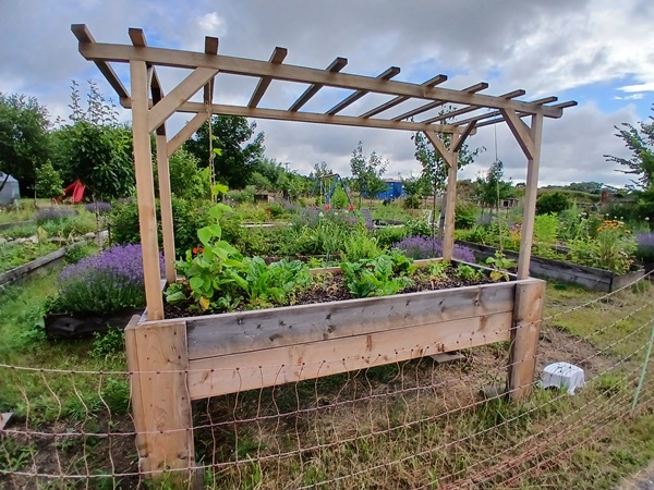 A wooden planter table with a sturdy trellis with a lot of plants growing in it, in front of a beautiful garden