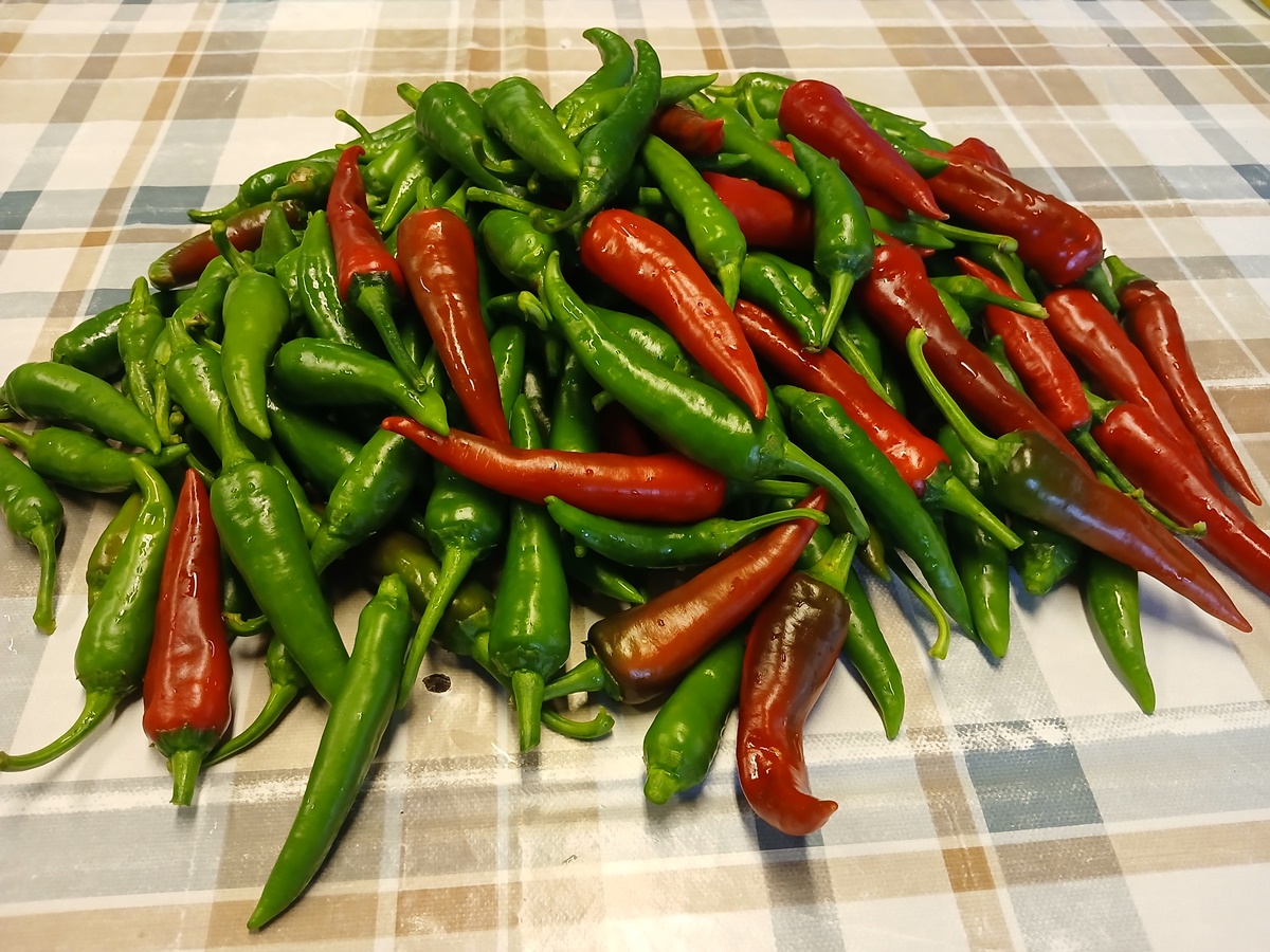 Harvesting and preserving&nbsp;Chili’s