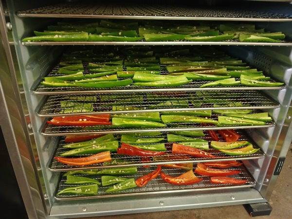 Sliced green and red chilies in a dehydrator