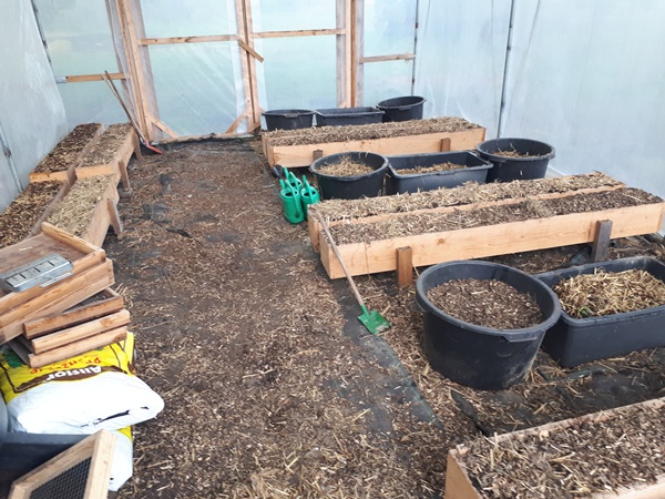 Greenhouse lay out with planters